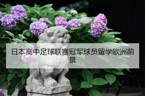 ri-ben-gao-zhong-zu-qiu-lian-sai-guan-jun-qiu-yuan-liu-xue-ou-zhou-qian-jing-1-302.jpg