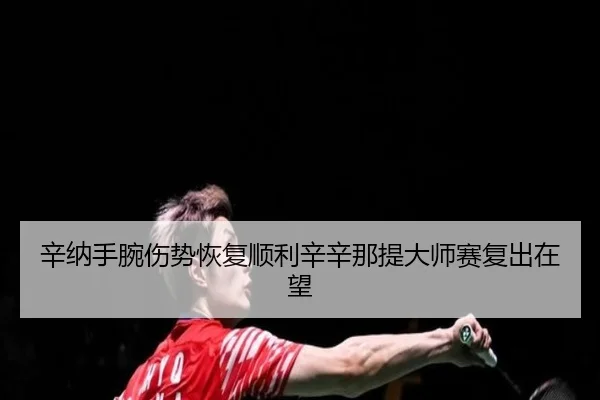 xin-na-shou-wan-shang-shi-hui-fu-shun-li-xin-xin-na-ti-da-shi-sai-fu-chu-zai-wang-1-653.jpg